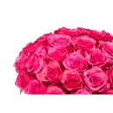 Flower box with roses